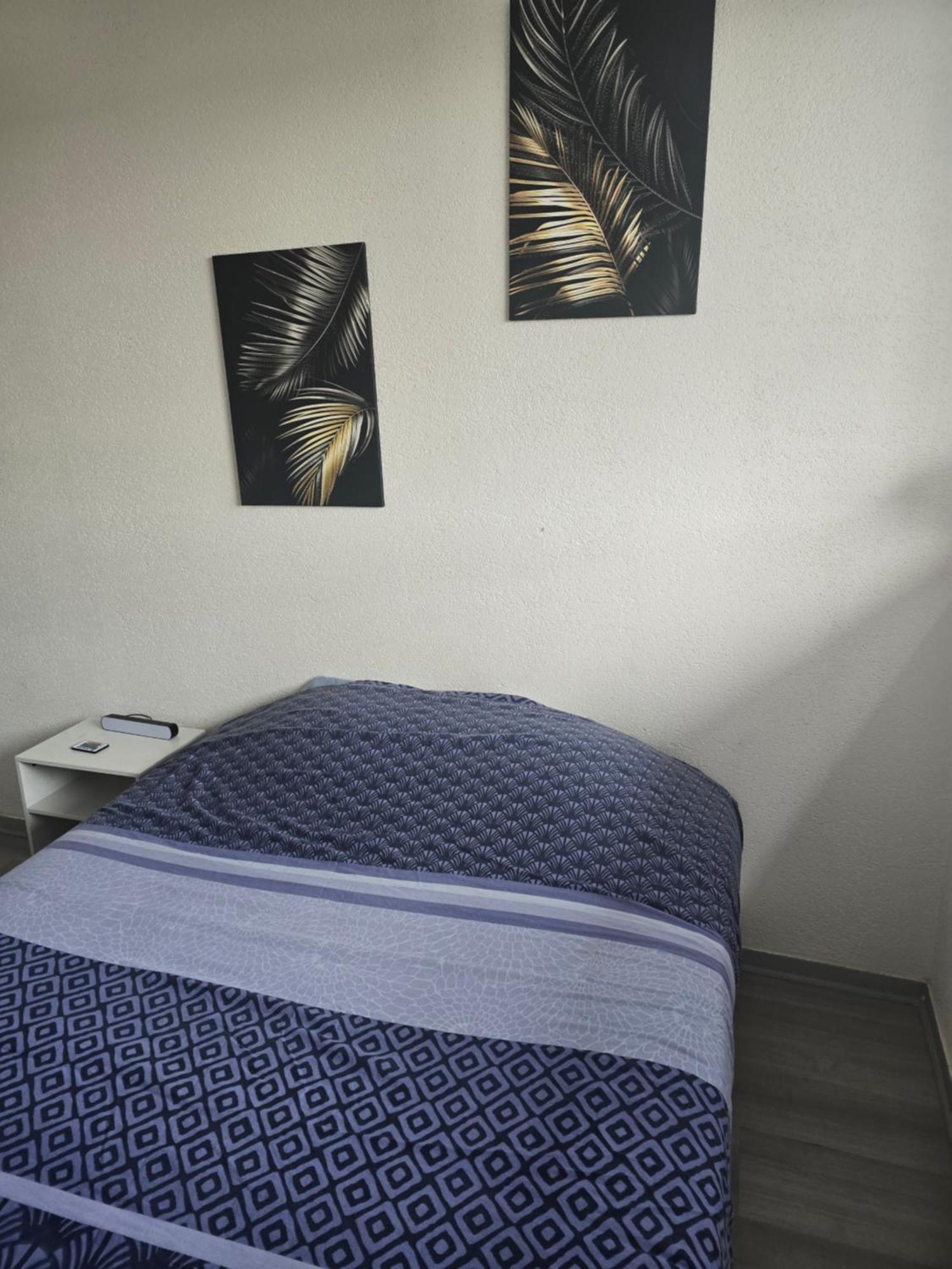 Cocon Wifi Netflix Parking Gratuit * Belfort